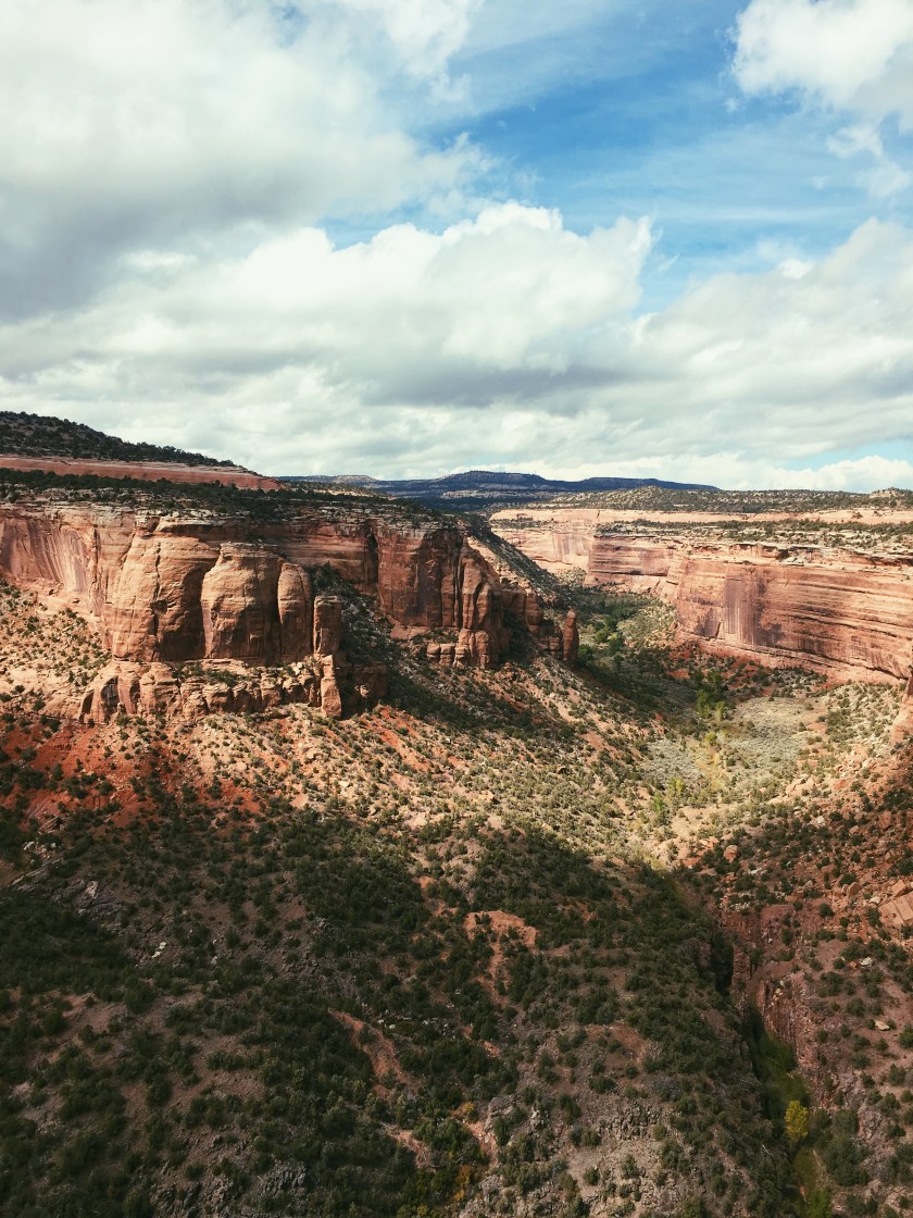 Processed with VSCO with p5 preset